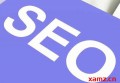 杨凌一个网站制作多少钱seo？企业为什么要做seo搜索引擎优化？